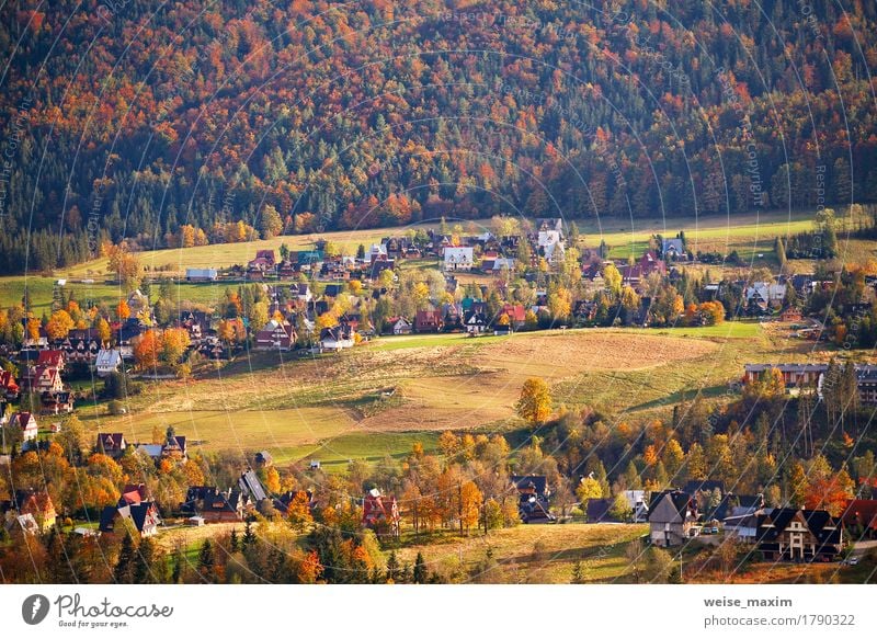 Sonniger Oktober-Tag in Malopolska-Bergdorf Ferien & Urlaub & Reisen Tourismus Berge u. Gebirge Haus Natur Landschaft Pflanze Herbst Baum Gras Wiese Wald Hügel