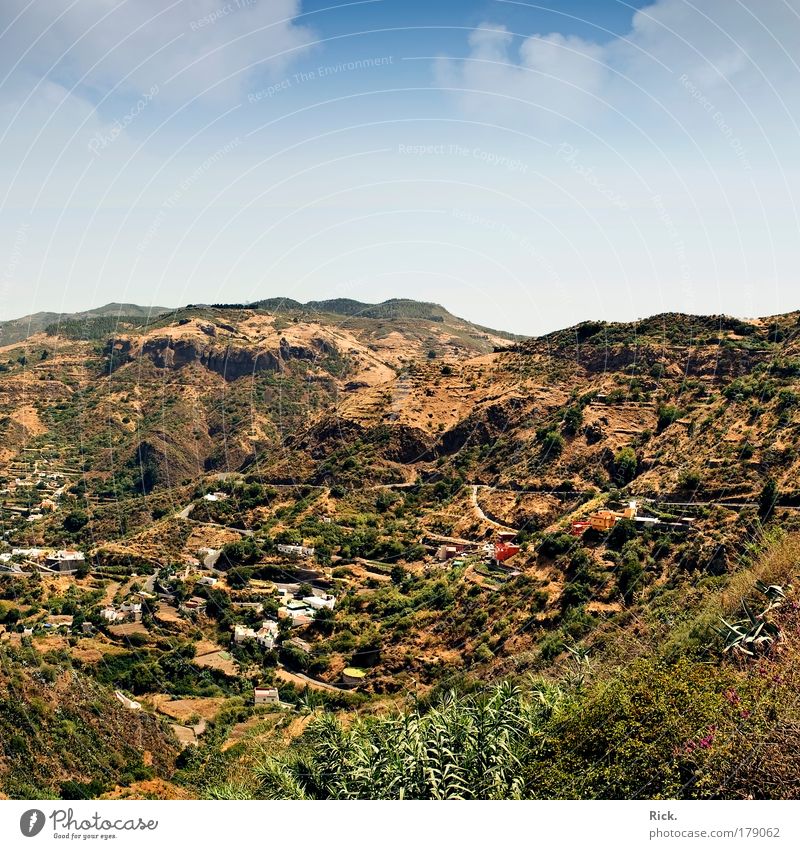 .Gran Canaria 2009 - Mittendrin Farbfoto Außenaufnahme Textfreiraum oben Tag Licht Schatten Kontrast Sonnenlicht Sonnenstrahlen Starke Tiefenschärfe