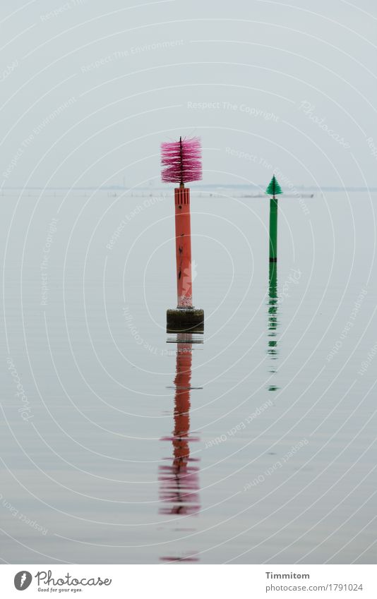 An die Zahnzwischenräume denken! Umwelt Natur Urelemente Wasser Fjord Dänemark Schifffahrt Hinweisschild Warnschild ästhetisch grün rot violett Horizont