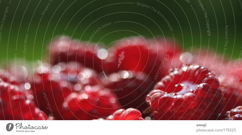 Ansammlung Farbfoto Außenaufnahme Nahaufnahme Detailaufnahme Makroaufnahme Textfreiraum oben Schwache Tiefenschärfe Frucht Ernährung Bioprodukte
