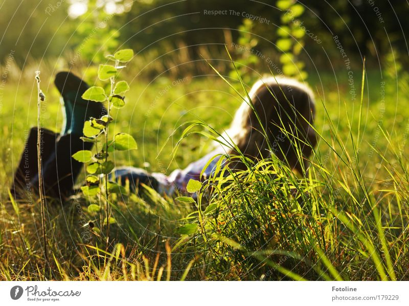 Traum vom Sommer Farbfoto Außenaufnahme Tag Abend Licht Silhouette Mädchen Haare & Frisuren Beine Fuß Umwelt Natur Landschaft Pflanze Erde Sonne Sonnenlicht