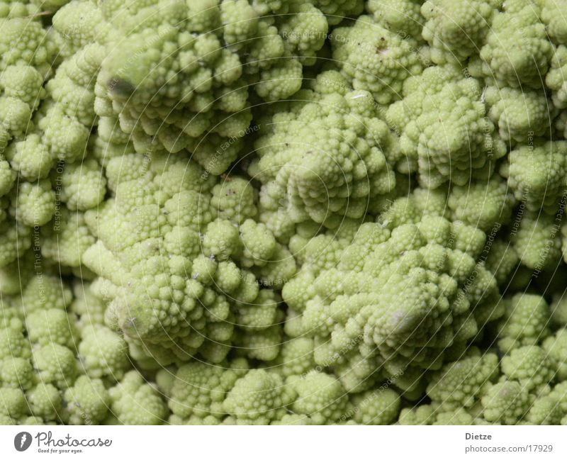 fractals in veges Brokkoli grün Spirale Blumenkohl Fraktale Gemüse Romanesco