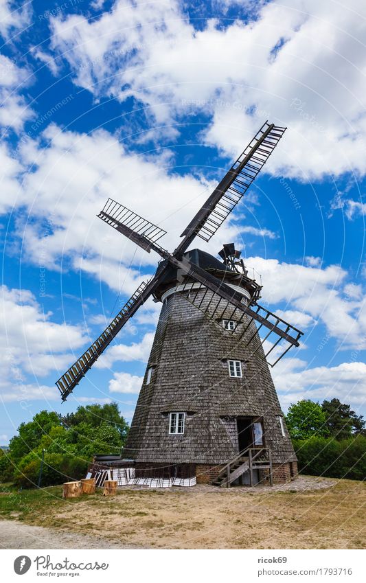 Die Windmühle in Benz auf der Insel Usedom Erholung Ferien & Urlaub & Reisen Tourismus Landwirtschaft Forstwirtschaft Wolken Baum Architektur Sehenswürdigkeit