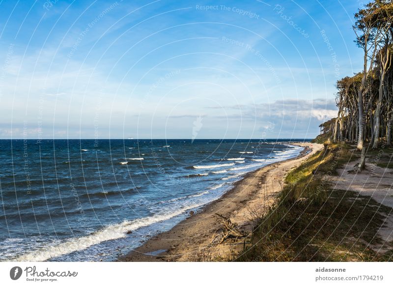 Strand Landschaft Wasser Himmel Schönes Wetter Wald Wellen Küste Ostsee Nienhagen Deutsch Europa Fischerdorf Kleinstadt Sehenswürdigkeit achtsam Gelassenheit