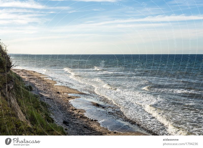 ostsee Natur Landschaft Wasser Ostsee Zufriedenheit Lebensfreude achtsam Vorsicht Gelassenheit geduldig ruhig Selbstbeherrschung Farbfoto Außenaufnahme