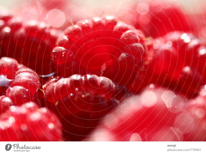 400 BEEREN / rot rot rot Farbfoto Außenaufnahme Nahaufnahme Detailaufnahme Makroaufnahme Schwache Tiefenschärfe Frucht Ernährung Bioprodukte