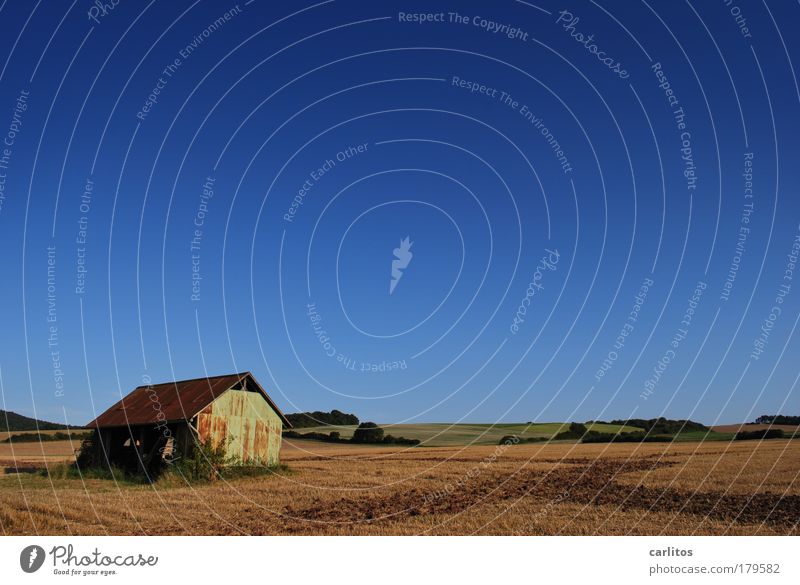 scheu ?? ne !! Menschenleer Hintergrund neutral Starke Tiefenschärfe Weitwinkel Landschaft Erde Himmel Herbst Feld Scheune alt blau braun ruhig Zufriedenheit