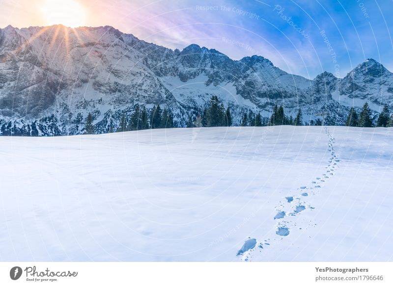 Berggipfel im Winter Freude ruhig Freiheit Sonne Schnee Winterurlaub Berge u. Gebirge Landschaft Himmel Wetter Alpen Gipfel Fußspur frieren frisch kalt blau