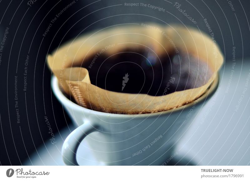 Morgenduft wittern... Lebensmittel Frühstück Kaffeetrinken Getränk Heißgetränk Geschirr Kaffeefilter Kaffeepulver Porzellanfilter Lifestyle Freude Glück