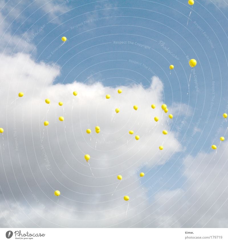 "... dass alle Kinder genug zu essen haben" Farbfoto Gedeckte Farben Außenaufnahme Tag Sonne Himmel Wolken Wetter Luftballon fliegen blau gelb Schweben Gruppe