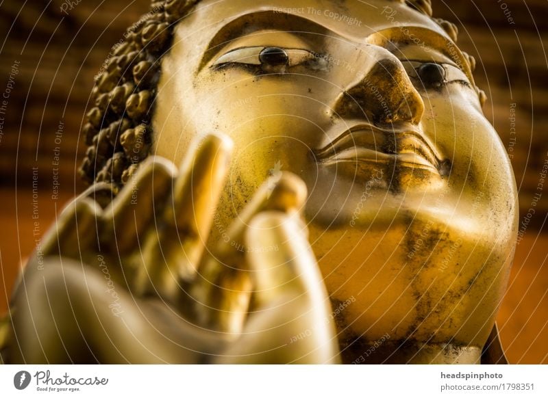 Golden Buddha Glück Wellness Wohlgefühl Kopf Hand Finger Kunst Skulptur ästhetisch Güte achtsam Wahrheit Reinheit Religion & Glaube Buddhismus Meditation Mudra