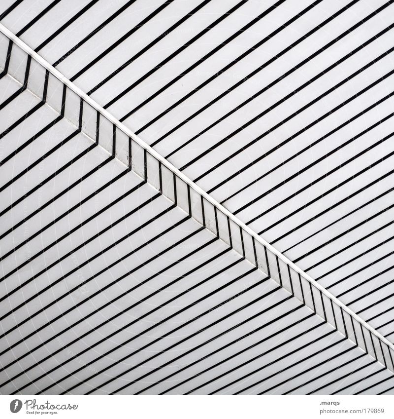 Konsequent Schwarzweißfoto Außenaufnahme Experiment abstrakt Muster Strukturen & Formen Menschenleer elegant Stil Design Erfolg Architektur Fassade Kunststoff