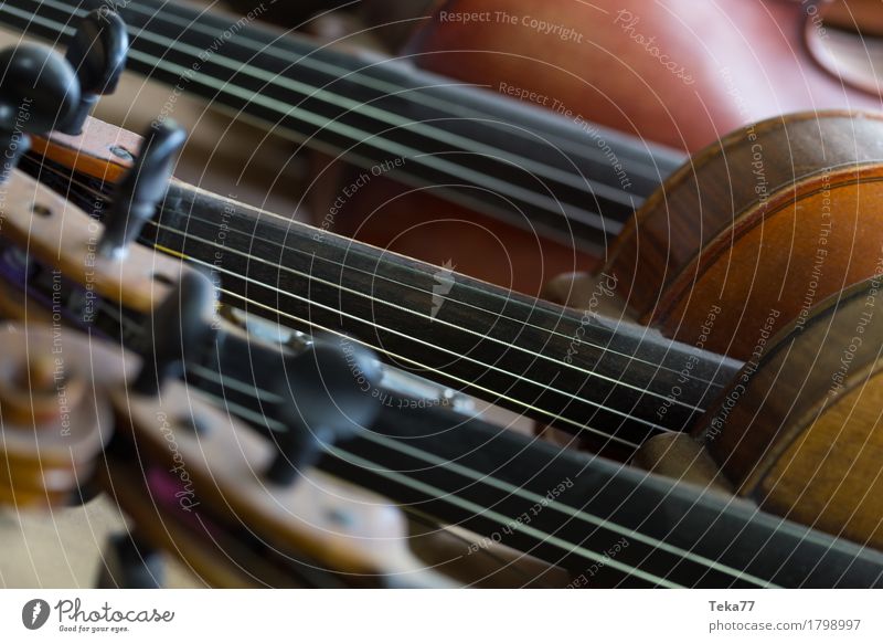 Geigen I Stil Musik Sammlung Holz ästhetisch Geigenbau Farbfoto Innenaufnahme Studioaufnahme Nahaufnahme Detailaufnahme Makroaufnahme Menschenleer