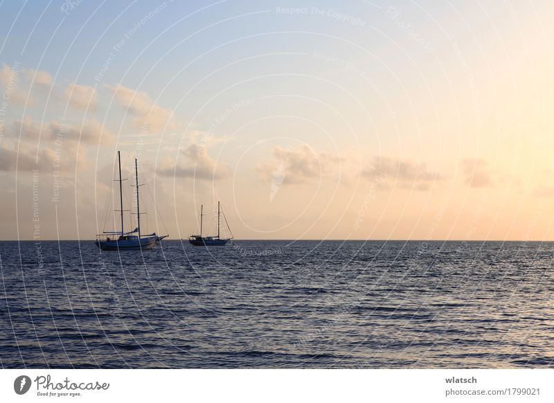 Boote in Sonnenröte Wasser Wolken Sonnenaufgang Sonnenuntergang Sommer Schönes Wetter Küste Bucht Meer Insel Schifffahrt Bootsfahrt Segelboot Holz