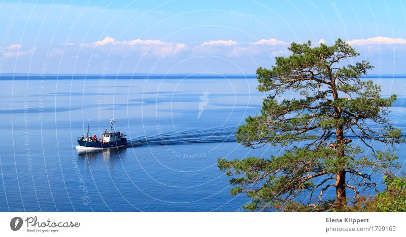 Ladoga-See. Natur Landschaft Pflanze Wasser Himmel Wolken Horizont Sommer Wetter Schönes Wetter Baum Kiefer "Valaam Karelia" Russland Verkehrsmittel Schifffahrt