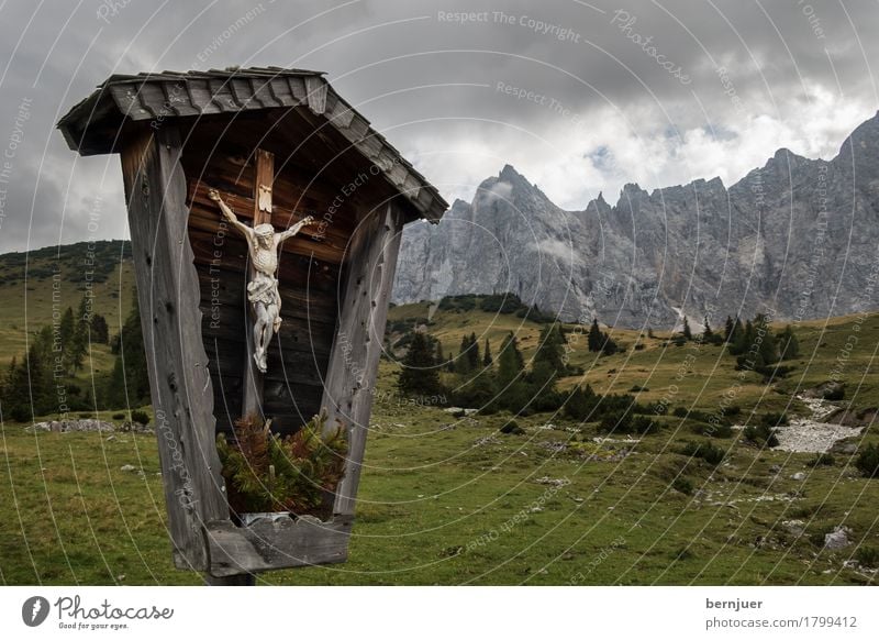 Kruzifix Natur Landschaft Wolken Wetter schlechtes Wetter Baum Gras Alpen Berge u. Gebirge Gipfel Holz Zeichen alt braun grün Glaube Religion & Glaube ruhig