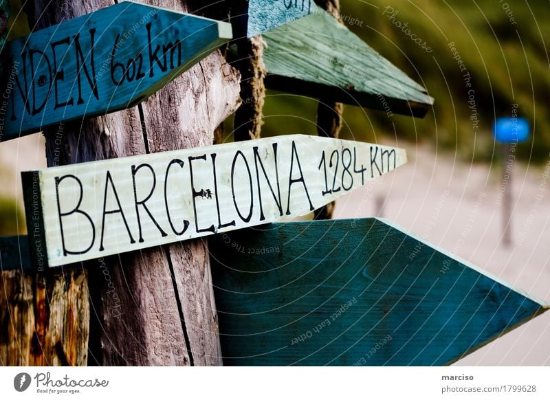 Barcelona Ferien & Urlaub & Reisen Tourismus Ausflug Abenteuer Ferne Freiheit Städtereise Sommer Sonne Strand Meer Strandbar Küste Spanien