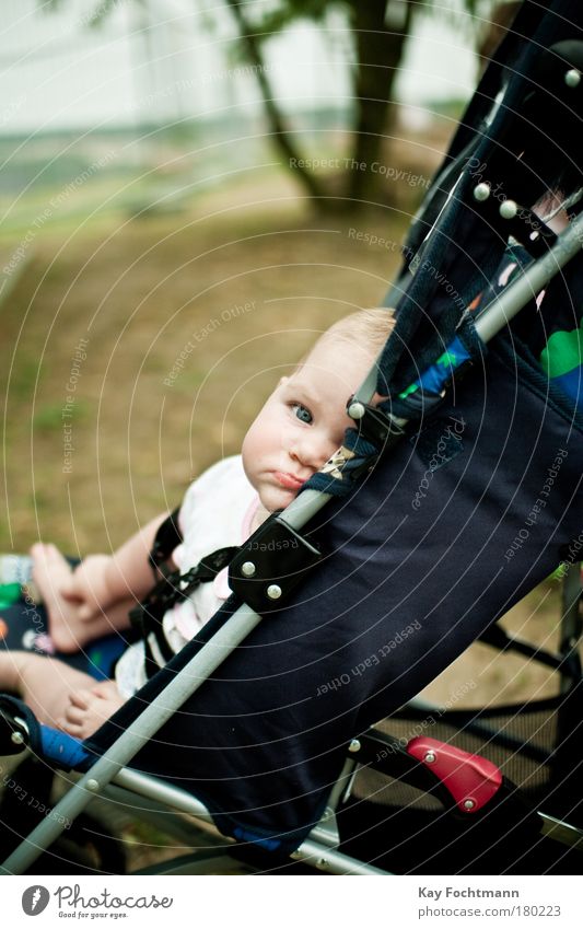 skepsis Baby 0-12 Monate sitzen frech klein Zufriedenheit Langeweile Kinderwagen kindlich Farbfoto Außenaufnahme Tag Schwache Tiefenschärfe Zentralperspektive