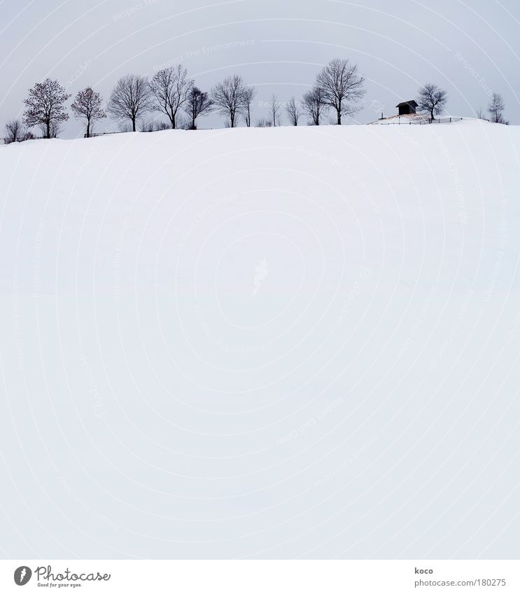 Winter Gedeckte Farben Außenaufnahme Menschenleer Textfreiraum unten Tag Totale Natur Landschaft Schnee Baum Hügel Berge u. Gebirge Hütte ästhetisch blau grau