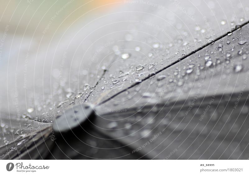 Novemberrain Natur Wasser Wassertropfen Herbst Klima Klimawandel Wetter schlechtes Wetter Regen Regenbekleidung Wetterschutz Regenschirm berühren authentisch