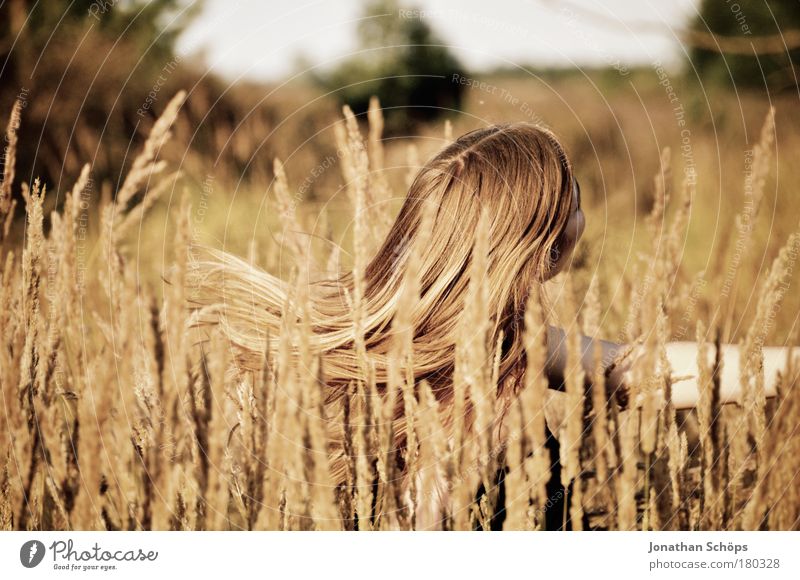 Der Haarschwung im Felde – junge Frau schwingt Haare Farbfoto Außenaufnahme Licht Sonnenlicht Schwache Tiefenschärfe Blick nach hinten Wegsehen Lifestyle Freude