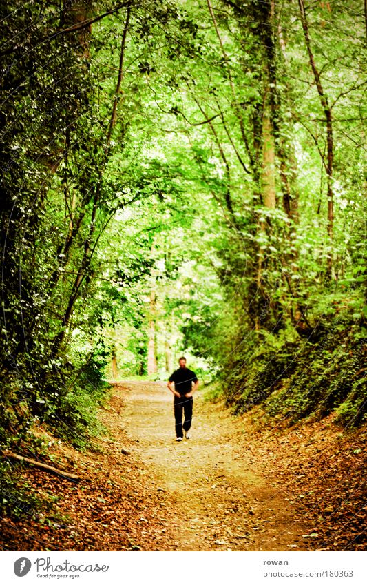 wandeln Farbfoto Außenaufnahme Tag Mensch maskulin Mann Erwachsene 1 Landschaft Baum Sträucher Wald Urwald gehen wandern außergewöhnlich bedrohlich dunkel