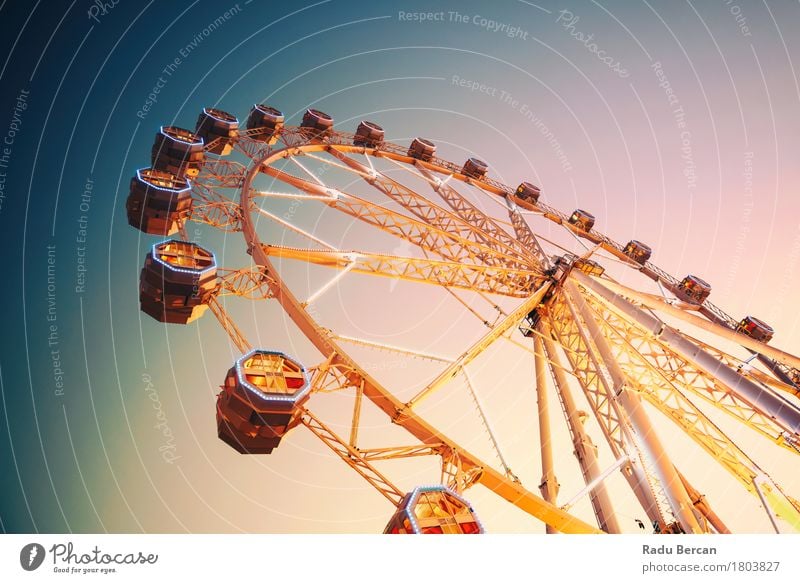 Riesenrad im Fun Park am Nachthimmel Freude Ferien & Urlaub & Reisen Sommer Entertainment Jahrmarkt Architektur Himmel Stadt Stadtzentrum Bauwerk Gebäude