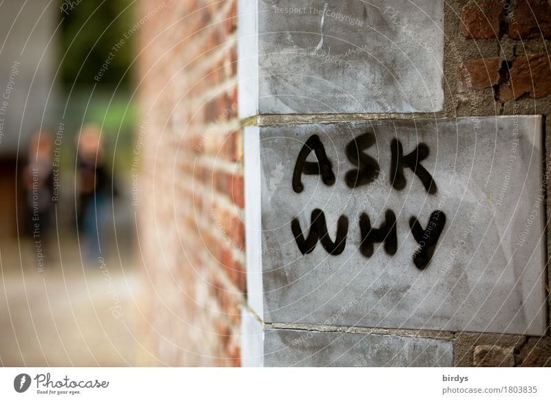 Ask why 2 Mensch Stadt Mauer Wand Fassade Stein Schriftzeichen Graffiti auffordern gehen authentisch Leidenschaft Verantwortung Wahrheit Ehrlichkeit
