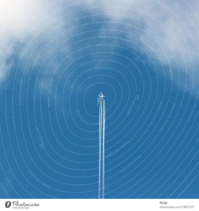 Senkrechtstarter Umwelt Natur Himmel Wolken Schönes Wetter Luftverkehr Flugzeug Passagierflugzeug fliegen außergewöhnlich hoch blau grau weiß Lebensfreude