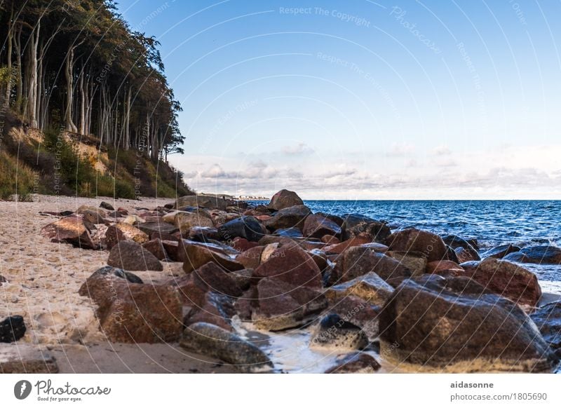 ostsee Landschaft Wasser Ostsee achtsam Vorsicht Gelassenheit geduldig ruhig Selbstbeherrschung mehrfarbig Außenaufnahme Menschenleer Tag