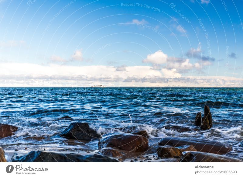 strand Natur Landschaft Wasser Ostsee achtsam Wachsamkeit Vorsicht Gelassenheit geduldig ruhig Farbfoto Außenaufnahme Menschenleer Tag
