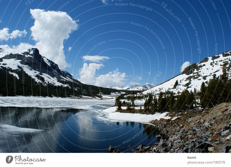 See im Yosemite NP Farbfoto Außenaufnahme Menschenleer Tag Reflexion & Spiegelung Zentralperspektive Natur Landschaft Wasser Himmel Schönes Wetter Schnee Park