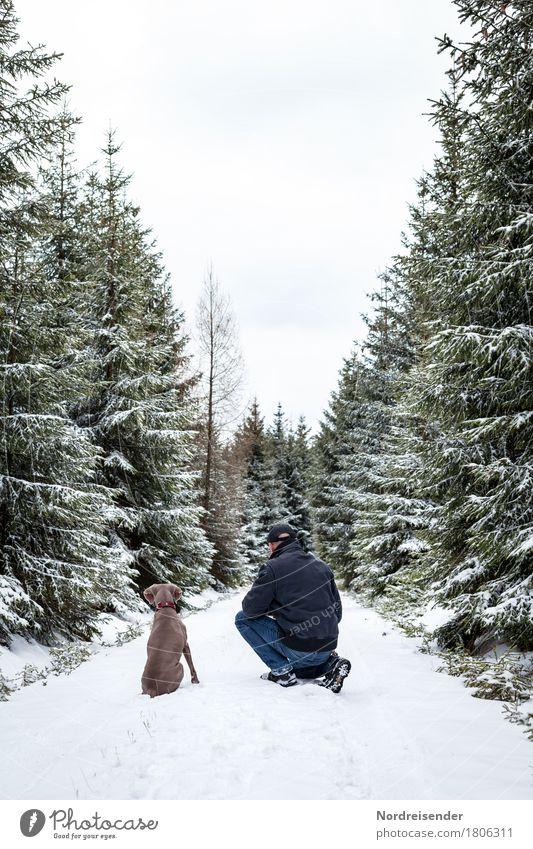 Jagdfieber.... Ausflug Freiheit Winter Winterurlaub Mensch Mann Erwachsene Natur Landschaft Klima Eis Frost Schnee Baum Wald Wege & Pfade Tier Haustier Hund