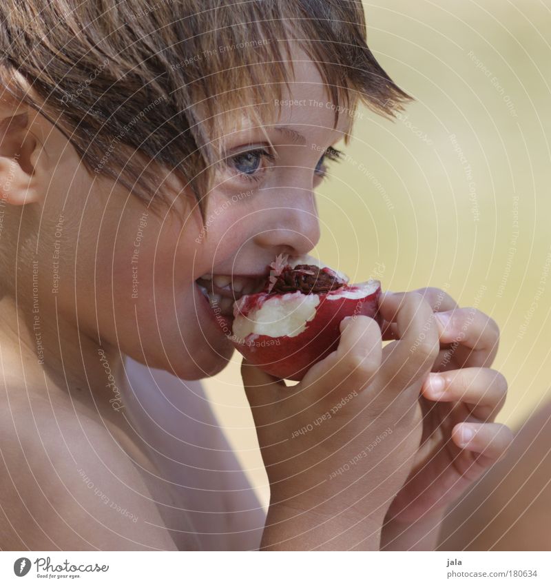 neckisch. Farbfoto Außenaufnahme Tag Licht Porträt Blick nach vorn Lebensmittel Frucht Mensch maskulin Junge Kindheit Kopf 1 3-8 Jahre Essen Sommer Pfirsich
