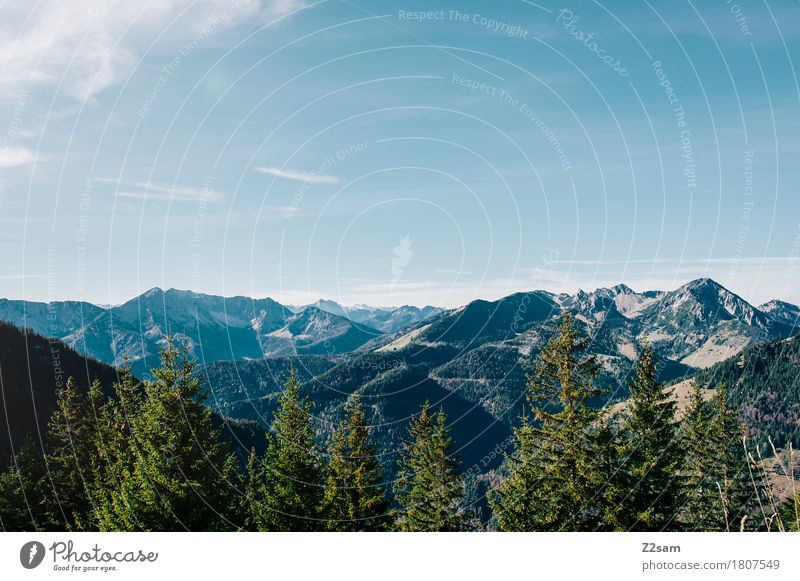 Postkarte wandern Natur Landschaft Himmel Sommer Schönes Wetter Baum Wald Alpen Berge u. Gebirge Unendlichkeit nachhaltig natürlich blau grün Farbe Freiheit