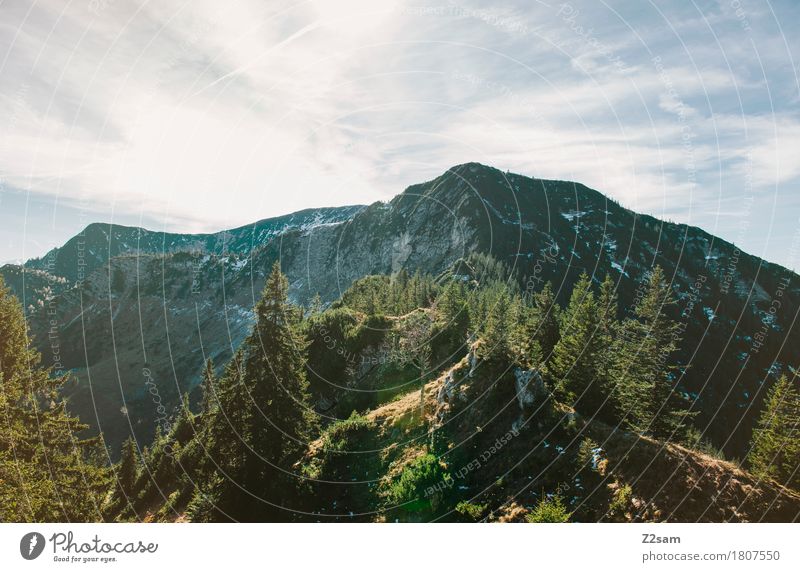 Gipfelblick wandern Umwelt Natur Landschaft Himmel Sommer Schönes Wetter Wald Alpen Berge u. Gebirge frisch gigantisch natürlich ruhig Erholung Farbe Freiheit
