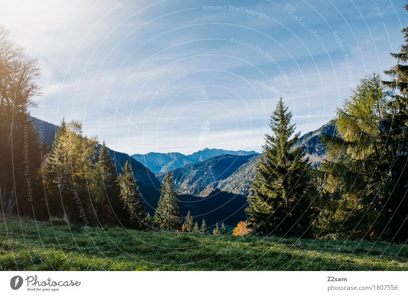 Bayerischzell wandern Natur Landschaft Himmel Sommer Schönes Wetter Baum Wiese Alpen Berge u. Gebirge nachhaltig natürlich blau grün Erholung Farbe Idylle