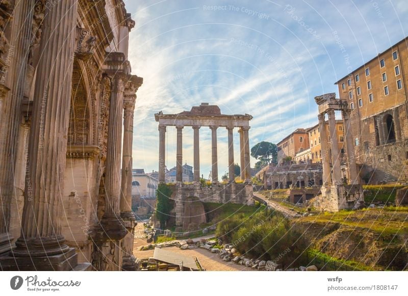 forum romanum in rom panorama Tourismus Stadt Altstadt Architektur historisch Forum Romanum Kapitol palatin esquiliin geschichte Italien reisen römisch Grabmal