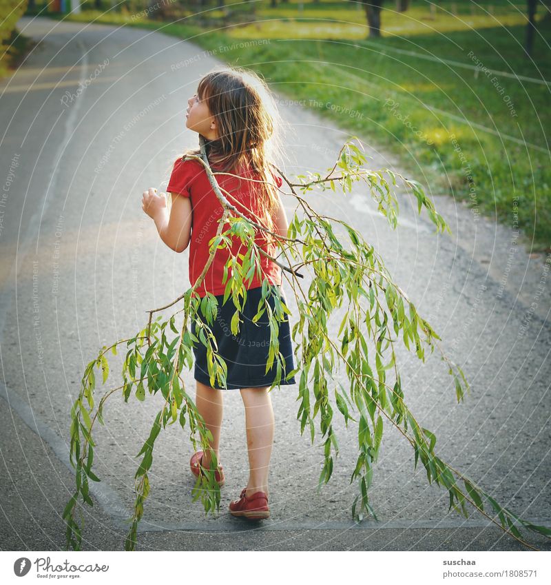 mädchen, das einen ast spazierenträgt | chamansülz Kind Mädchen Kindheit Sommer Straße laufen Ast Blatt Spaziergang Spazierweg Ausflug Kindererziehung Freiheit