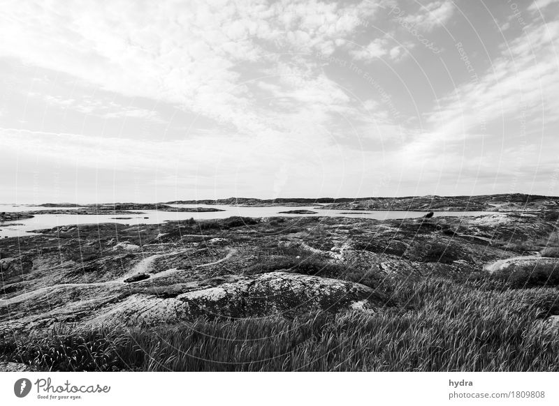 Weite Schärenlandschaft in Schweden in schwarz weiß Meer Landschaft Urelemente Luft Himmel Wolken Wind Felsen Küste Bucht Fjord Riff Ostsee Insel trist wild