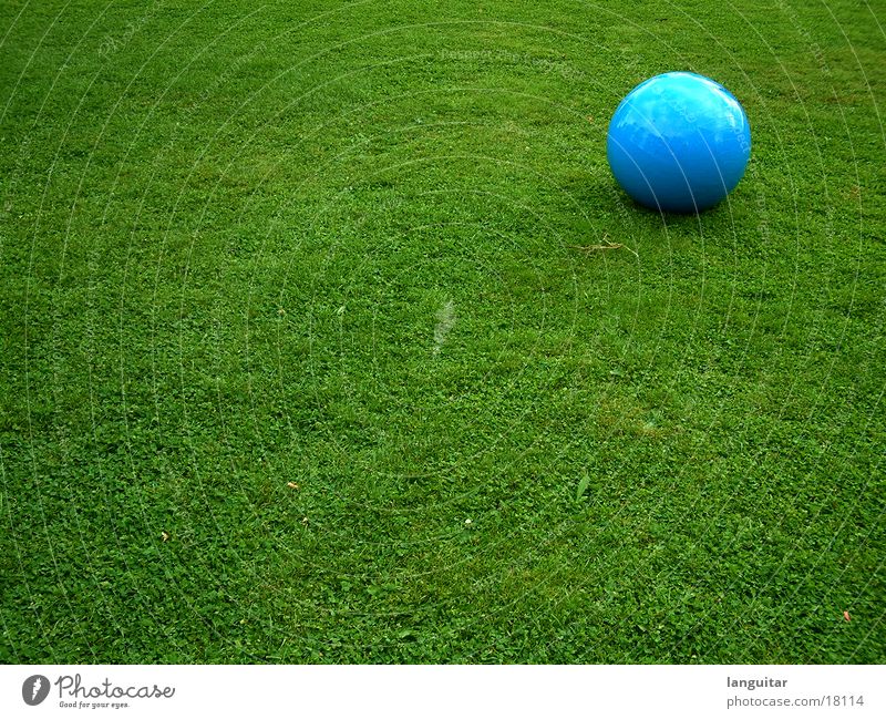 ball auf wiese Wiese Gras grün steril rund Strukturen & Formen Spielen Einsamkeit extravagant groß Freizeit & Hobby Farbe Ball Rasen blau Kontrast Kugel