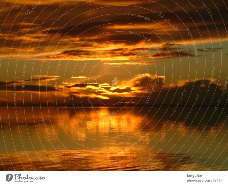 Sonnenuntergang in Dänemark See rot Wolken Romantik Ferne Dämmerung Meer Abend Gefühle schön orange Himmel Wasser ausklang Abenddämmerung gemalt