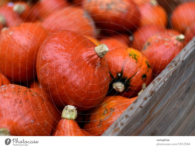 Kürbis Kürbis Kürbis Lebensmittel Gemüse Ernährung Bioprodukte Vegetarische Ernährung Fasten Freude Party Feste & Feiern Halloween kaufen orange viele