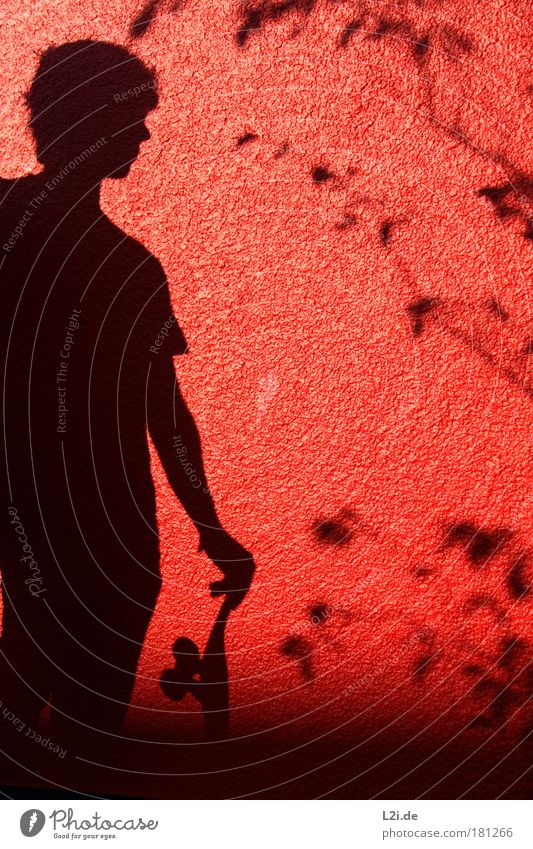 SCHATTEN-SKATER II Skateboarding Wand Schatten rot Blatt Ast Silhouette Hand Arme Sonnenlicht Lichtspiel Stil
