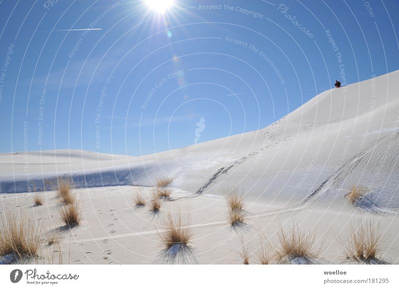 Bobfahrt in der Wüste mehrfarbig Außenaufnahme Textfreiraum links Textfreiraum oben Tag Licht Kontrast Sonnenlicht Sonnenstrahlen Gegenlicht Zentralperspektive