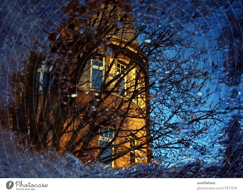 Frankenplatz Natur Wasser Wassertropfen Himmel Sonnenlicht Herbst Winter Regen Baum Sträucher Pfütze Garten Park Düsseldorf Deutschland Haus Mauer Wand Fenster