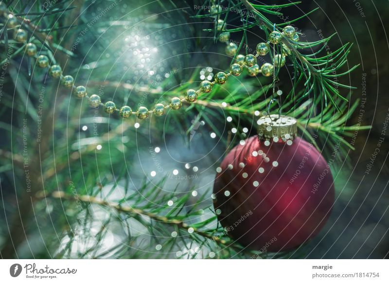 Weihnachtsbaum mit einer roten Kugel, vielen Lichtern und Ketten Feste & Feiern Weihnachten & Advent grün Weihnachtsdekoration Weihnachtsmarkt Beleuchtung