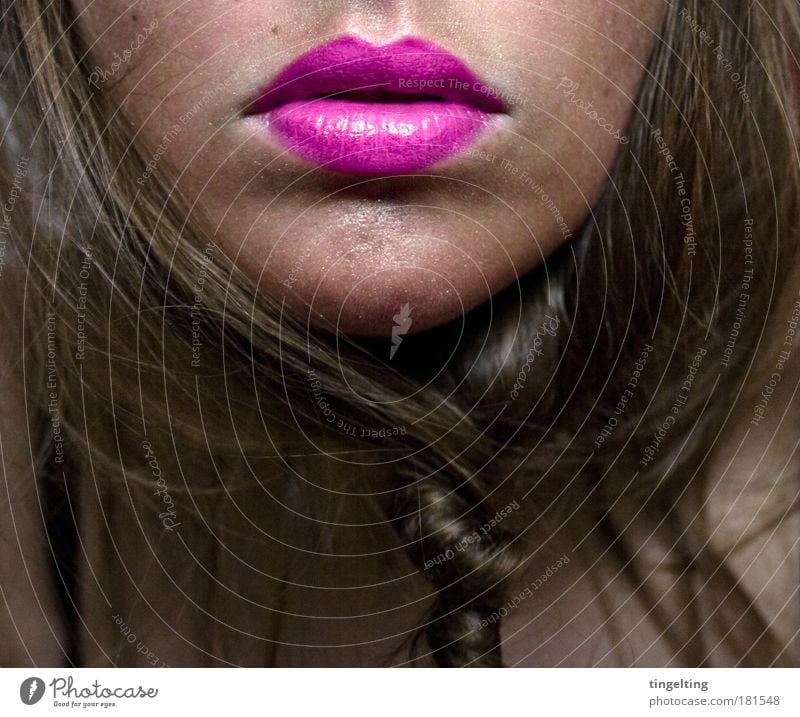 pink Farbfoto mehrfarbig Innenaufnahme Textfreiraum unten Tag Schatten Kontrast Haare & Frisuren Haut Gesicht Kosmetik Schminke Lippenstift Rouge feminin