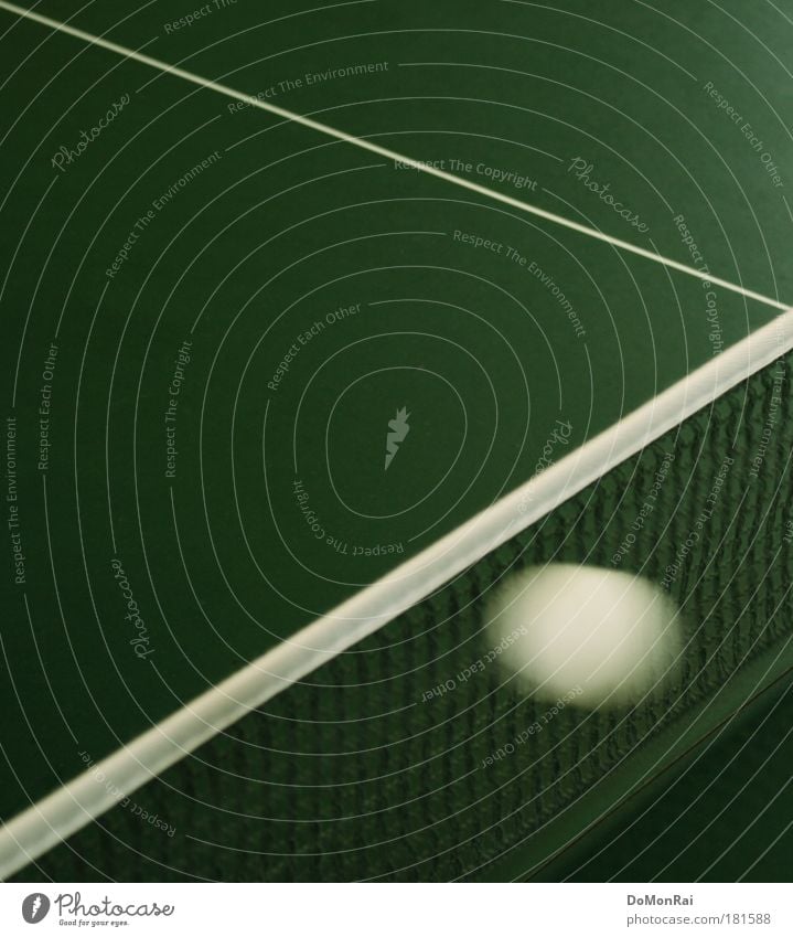 Pong? Ball Sportveranstaltung Linie Streifen Netz fliegen ästhetisch eckig elegant Sauberkeit Geschwindigkeit grün weiß Ausdauer Erfolg Konkurrenz Misserfolg
