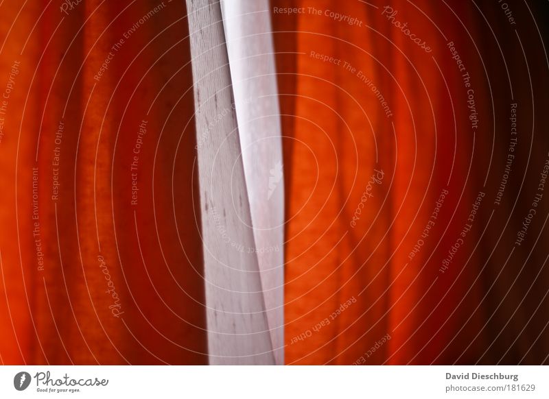 Holländische Gardinen Farbfoto Innenaufnahme Nahaufnahme Detailaufnahme Strukturen & Formen Tag Kontrast rot weiß Fenster orange Stoff Linie zweifarbig kraus
